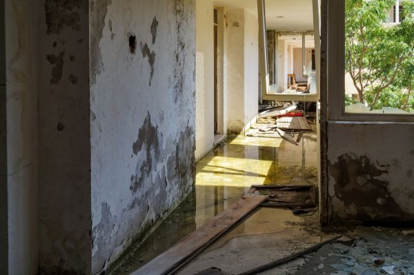 Water Removal Service in Glen Allen