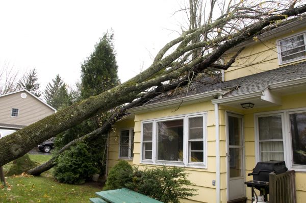 Hurricane Damage Repair in Glen Allen